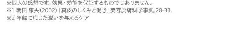 注釈