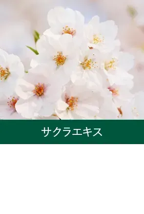 サクラエキス