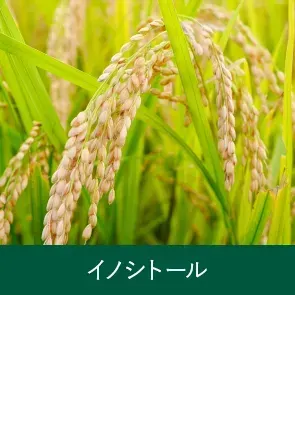 イノシトール