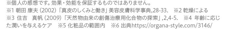 注釈