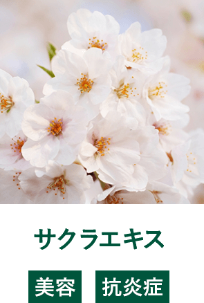 サクラエキス