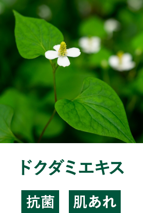 ドクダミエキス