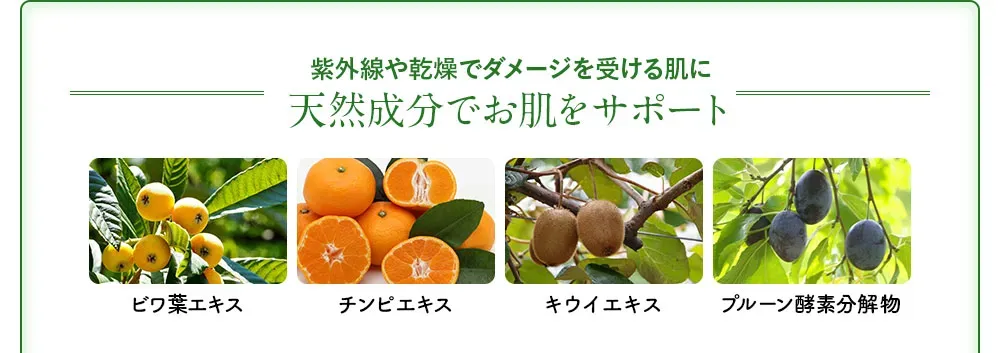 UVA（シワ・ハリ不足）UVB（シミ・炎症）2種類の紫外線にも！ビワ葉エキス、チンピエキス、キウイエキス、プルーン酵素分解物