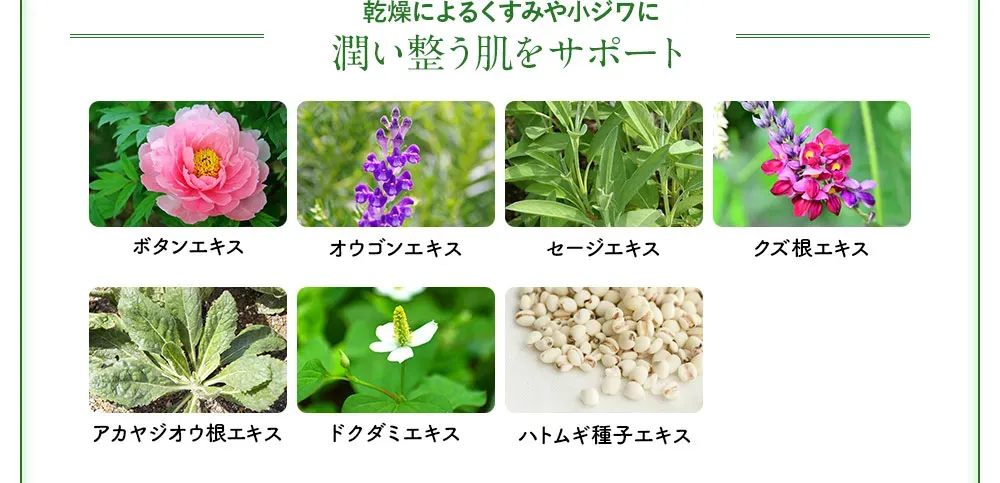 加齢くすみ・炎症によるシミにも。広く、深く、長く、届く。ボタンエキス、オウゴンエキス、セージエキス、クズ根エキス、アカヤジオウ根エキス、ドクダミエキス、ハトムギ種子エキス