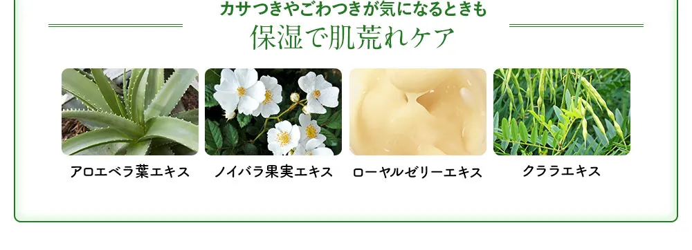 内部反射光をアップ！透明感のある肌へ。アロエベラ葉エキス、ノイバラ果実エキス、ローヤルゼリーエキス、クララエキス