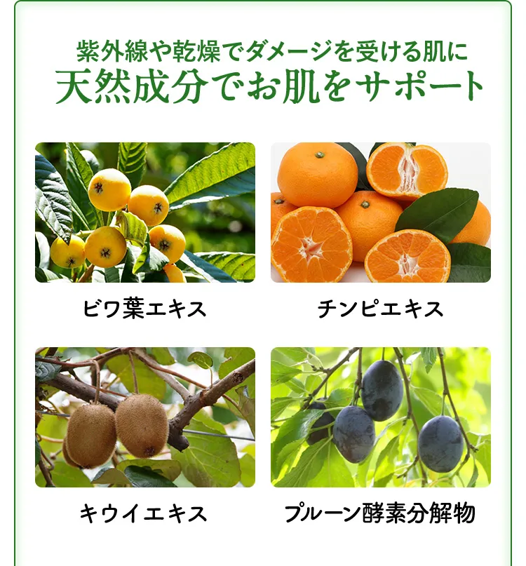UVA（シワ・ハリ不足）UVB（シミ・炎症）2種類の紫外線にも！ビワ葉エキス、チンピエキス、キウイエキス、プルーン酵素分解物