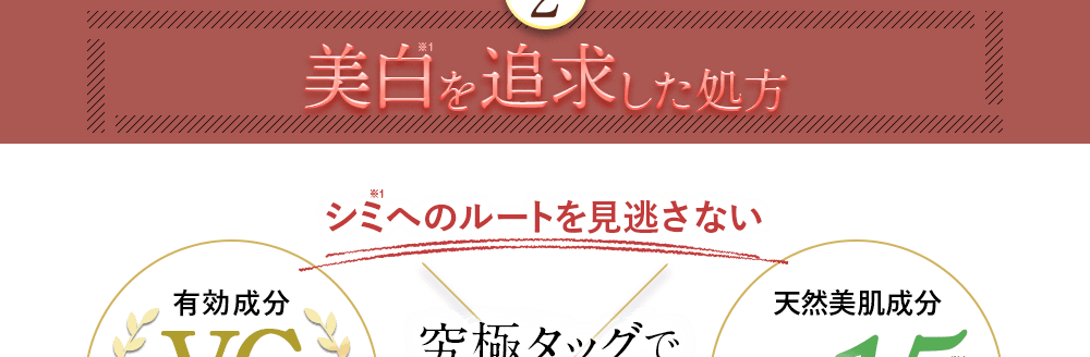 ポイント2。美白を追求した処方。シミへのルートを見逃さない。有効成分VCエチル×天然美肌成分ピュアホワイタル15。究極タッグで徹底ケア！