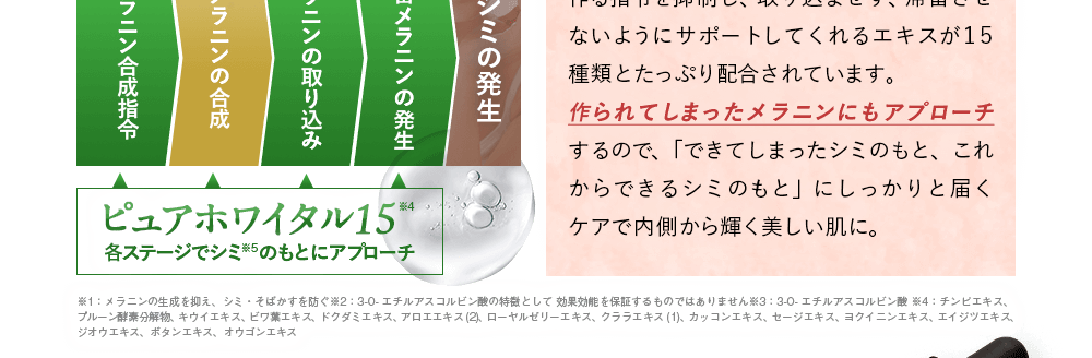 フレイスラボ ホワイトVCセラムにはVCエチルと併せて、シミのもとであるメラニンを作る指令を抑制し、取り込ませず、滞留させないようにサポートしてくれるエキスが15種類とたっぷり配合されています。作られてしまったメラニンにもアプローチするので、「できてしまったシミのもと、これからできるシミのもと」にしっかりと届くケアで内側から輝く美しい肌に。
