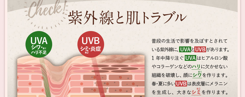 Check！紫外線と肌トラブル。普段の生活で影響を及ぼすとされている紫外線に、UVAとUVBがあります。1年中降り注ぐUVA はヒアルロン酸やコラーゲンなどのハリに欠かせない組織を破壊し、顔にシワを作ります。春・夏に多いUVBは表皮層にメラニンを生成し、大きなシミを作ります。また、紫外線によって肌が乾燥し、紫外線ダメージを受けやすい状態になると、シミやシワが増えるスピードも加速していきます。