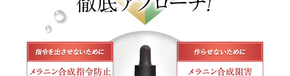指令を出させないために（メラニン合成指令防止）。作らせないために（メラニン合成阻害）。