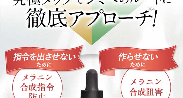 指令を出させないために（メラニン合成指令防止）。作らせないために（メラニン合成阻害）。
