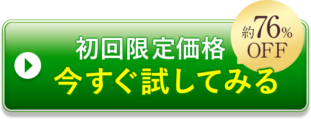 初回限定価格 今すぐ試してみる