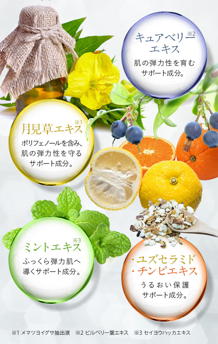 美容サポート成分
